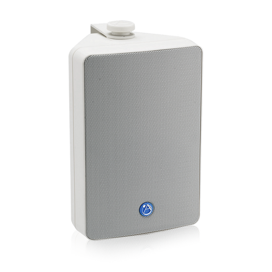 SM52TEN-WH 5.25in 2-Way All Weather Speaker, White, with 30-Watt 70V/100V Transformer, Colour: White